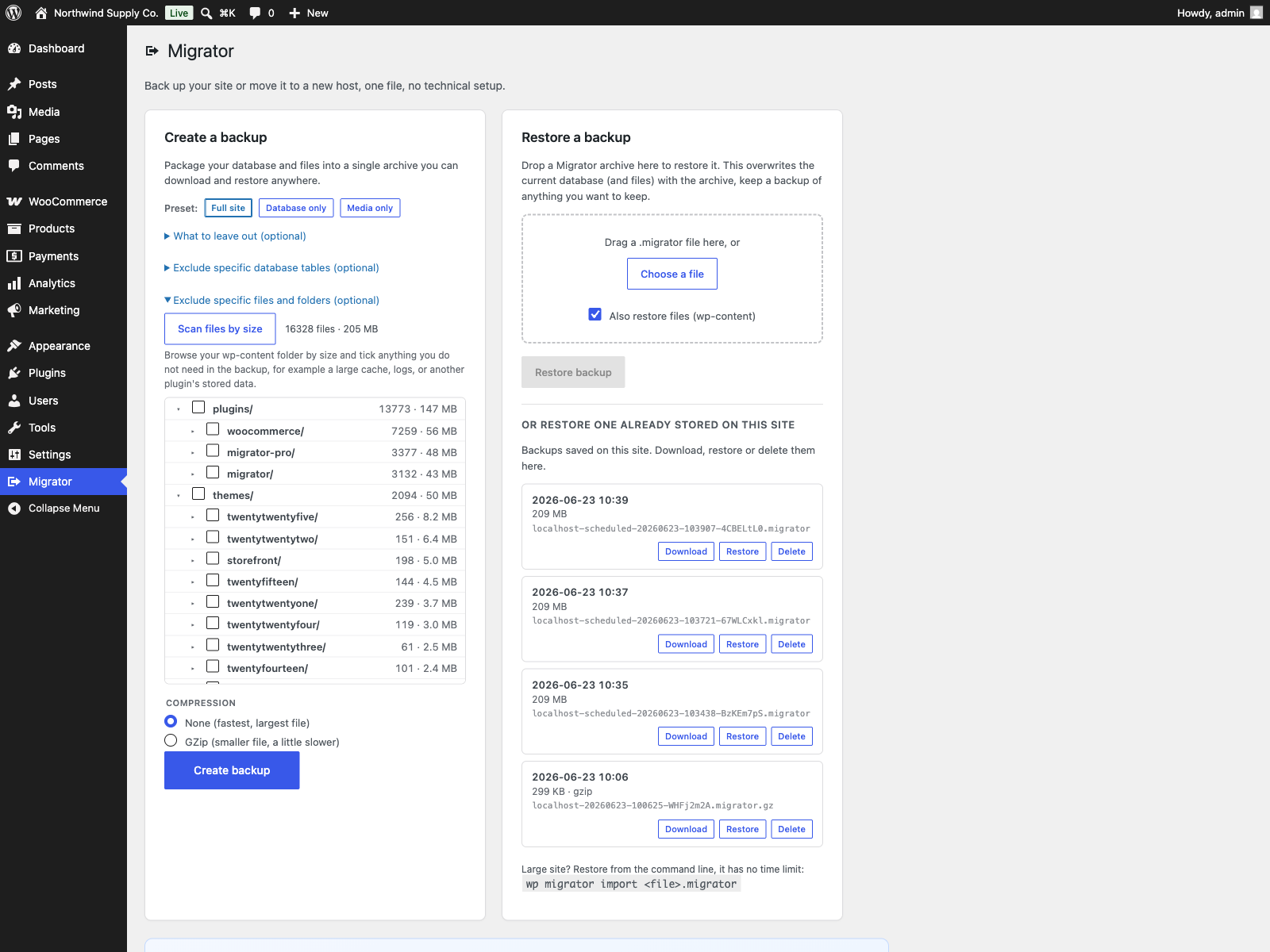 The file-size explorer: scan wp-content and see each folder's size to leave out what you do not need