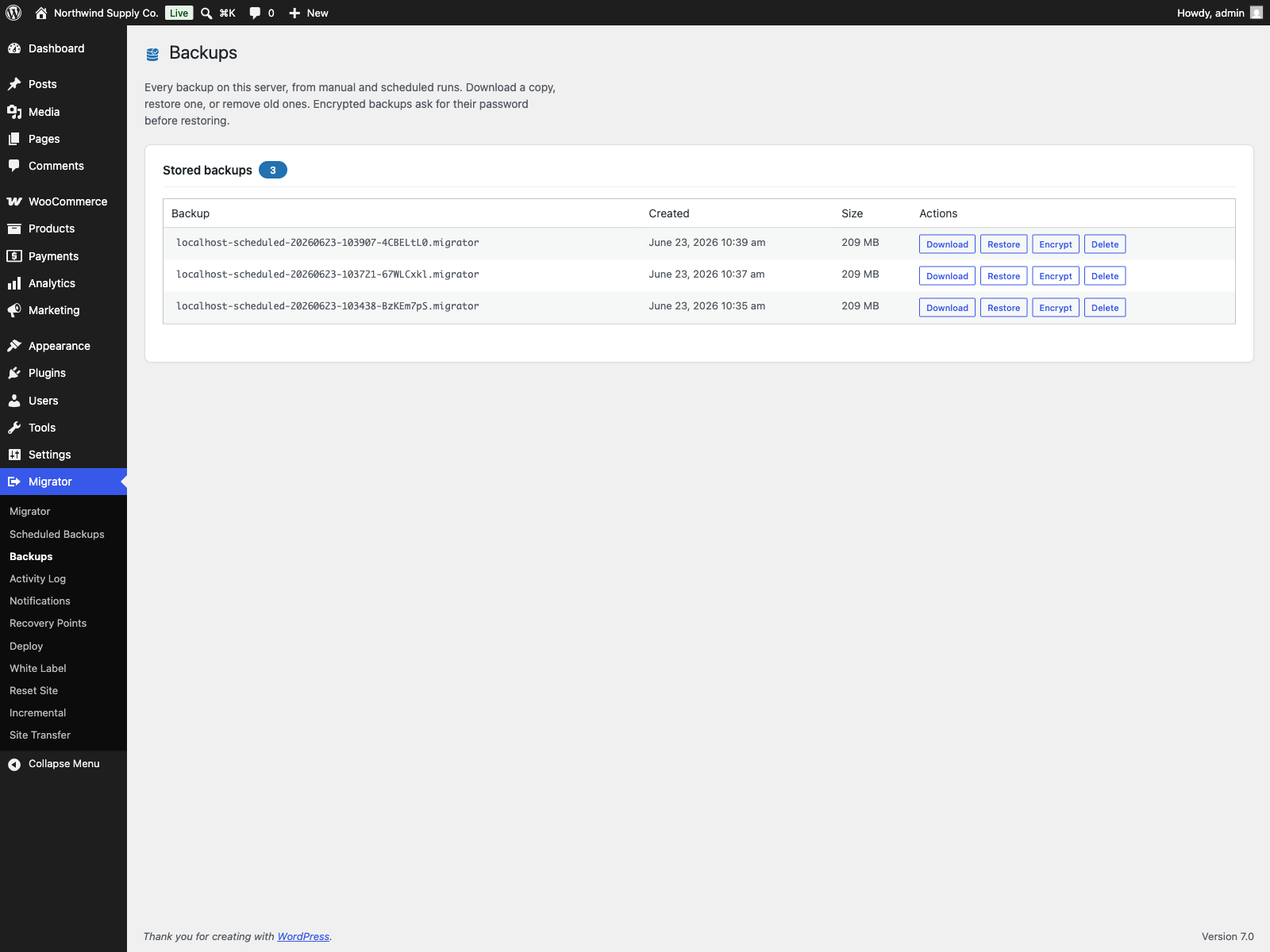Backups manager: every backup in one place to download, restore, encrypt or delete